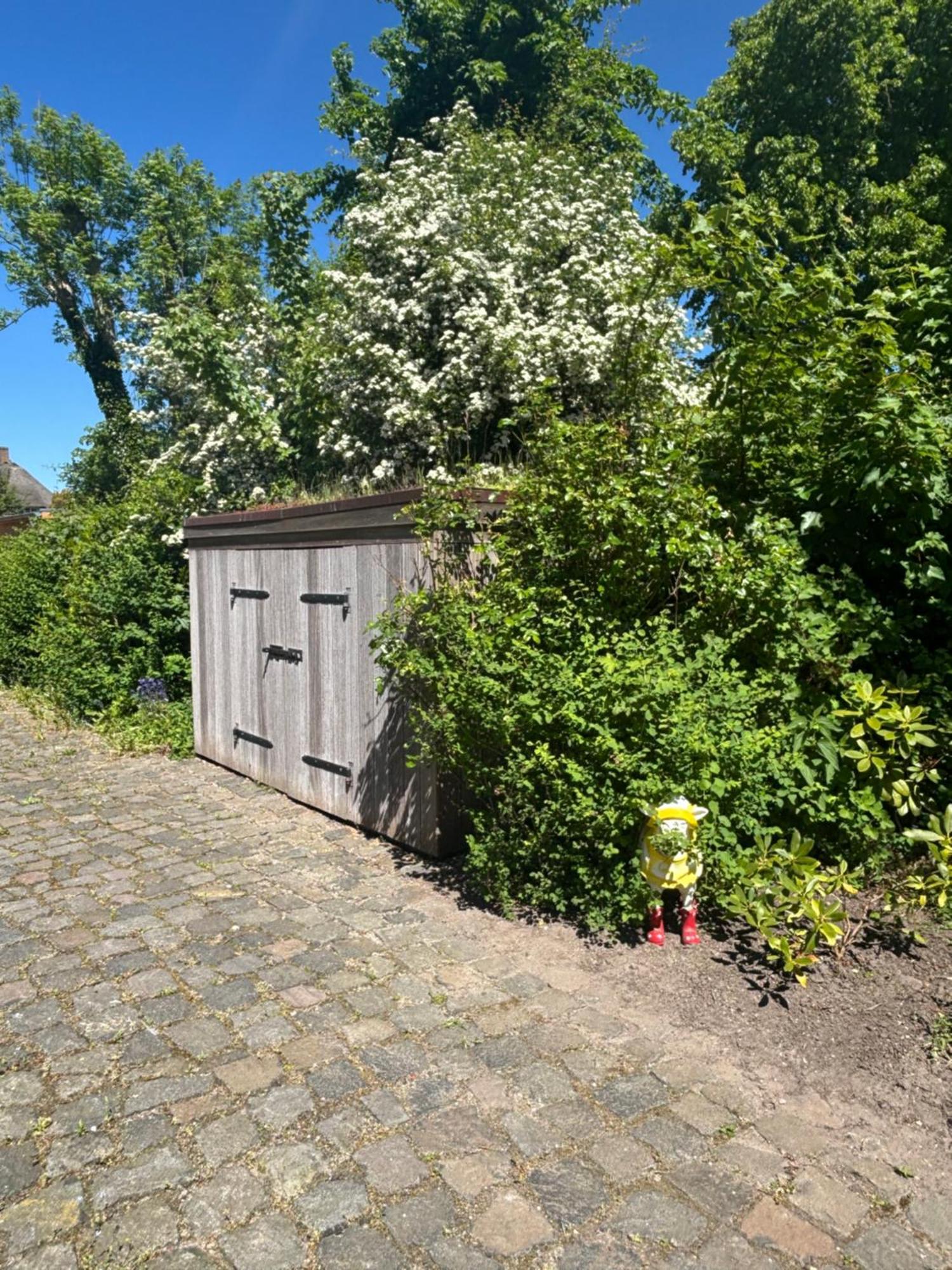 Risum-Lindholm De Friesenjung Nordsee מראה חיצוני תמונה